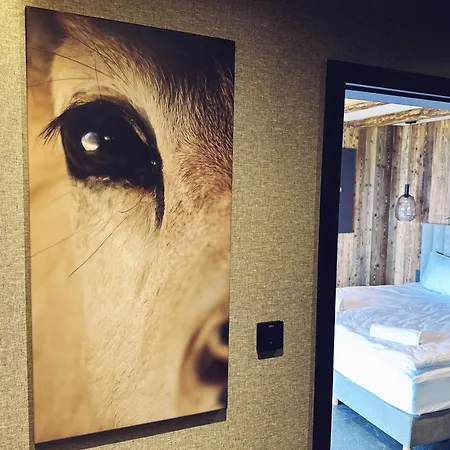 Апартаменты 1000m N.p.m. *