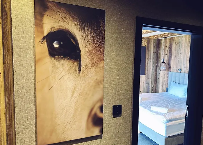 アパート 1000m N.p.m. *